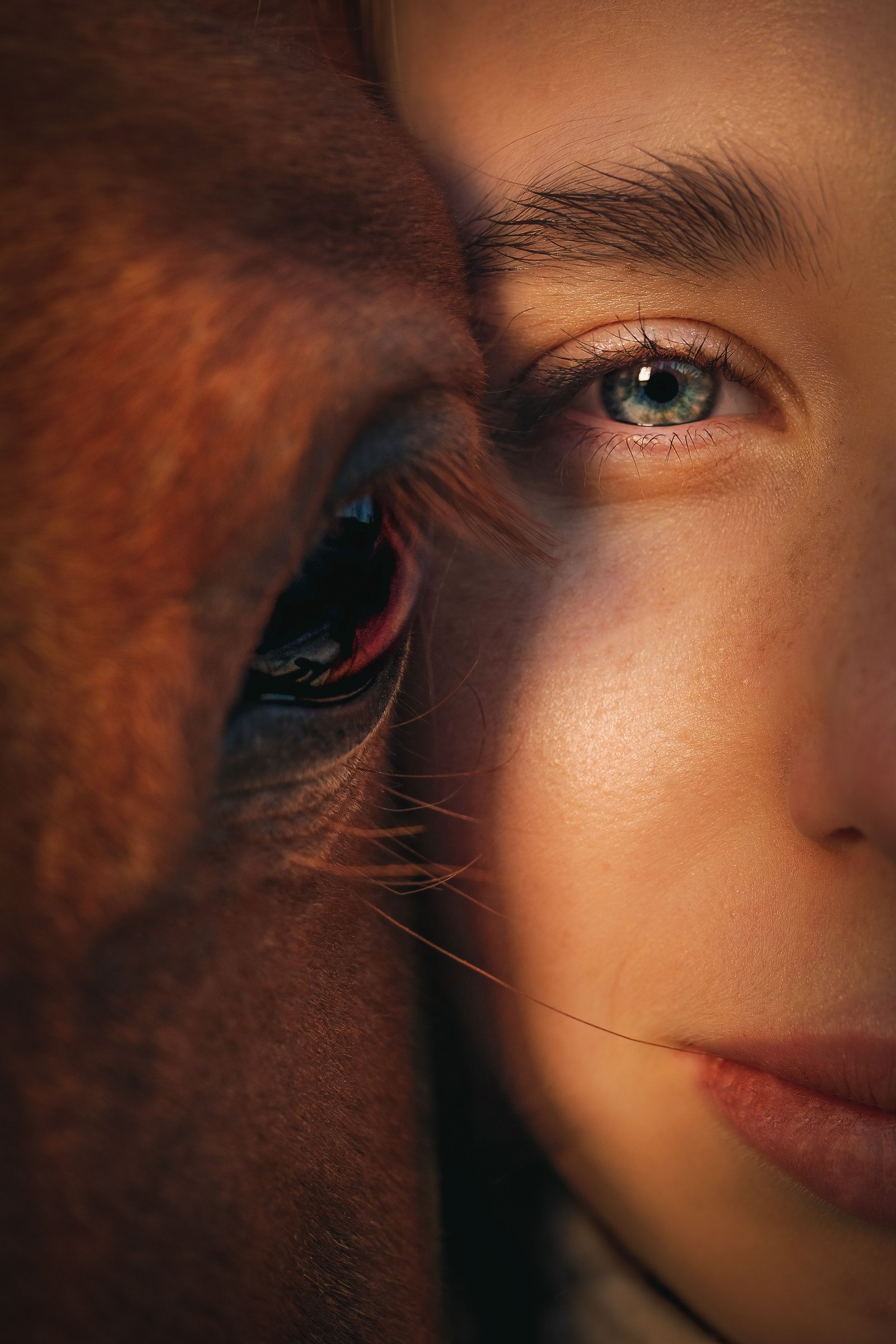 Der Mensch und das Pferd – Ein Heiliges Band